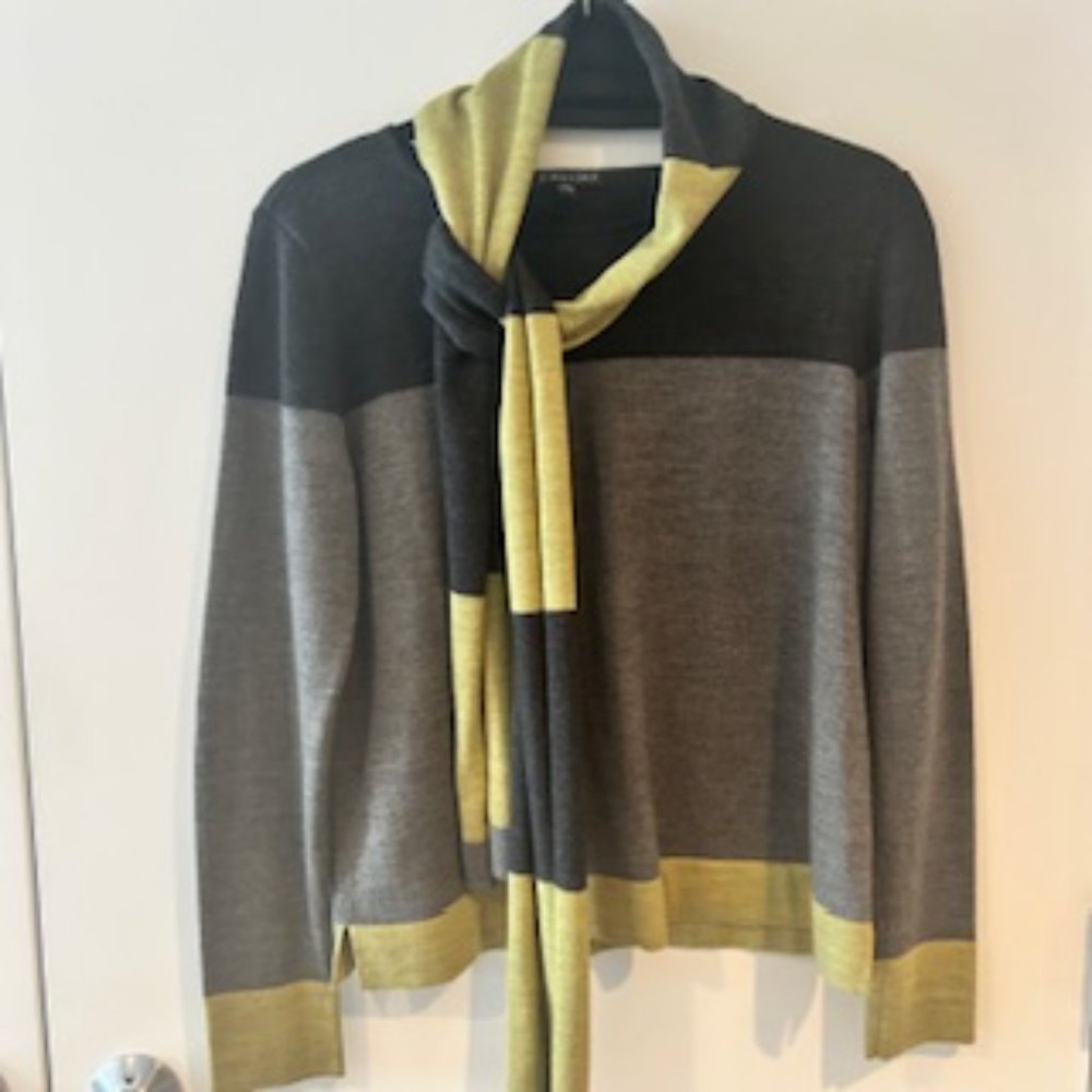 Eileen Fisher Color Block Sweater With Matching S… - image 4